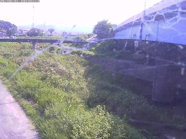 野坂川２2025/08/31 9:10:00