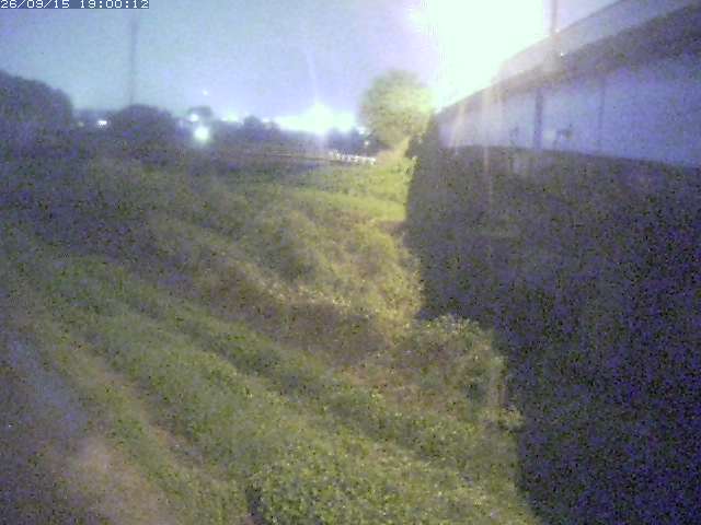 野坂川２2026/09/16 16:40:00