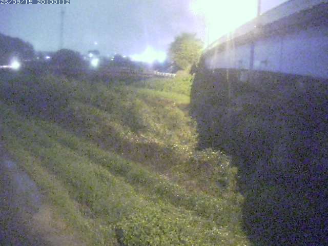 野坂川２2026/09/16 16:40:00