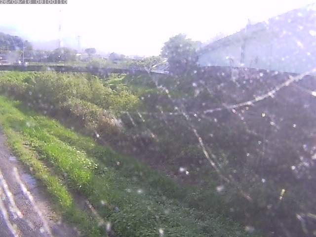 野坂川２2026/09/16 16:40:00