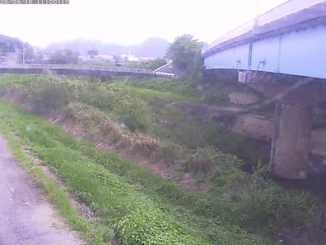 野坂川２2026/09/16 16:40:00