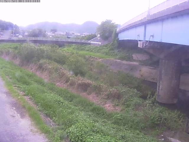 野坂川２2026/09/16 16:40:00