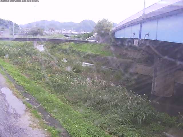 野坂川２2025/10/22 11:20:00