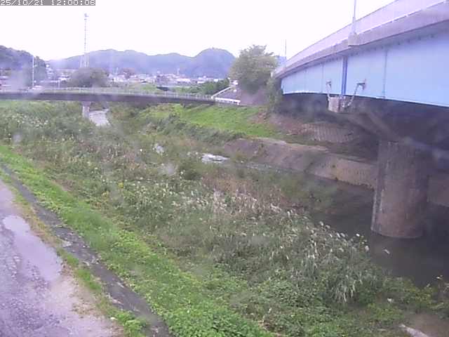 野坂川２2025/10/22 11:20:00