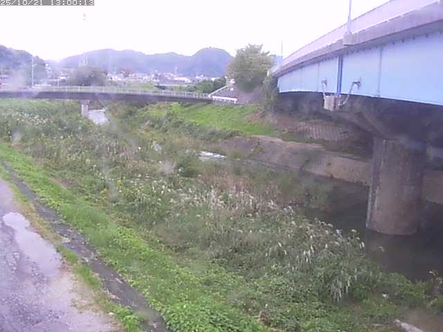 野坂川２2025/10/22 11:20:00