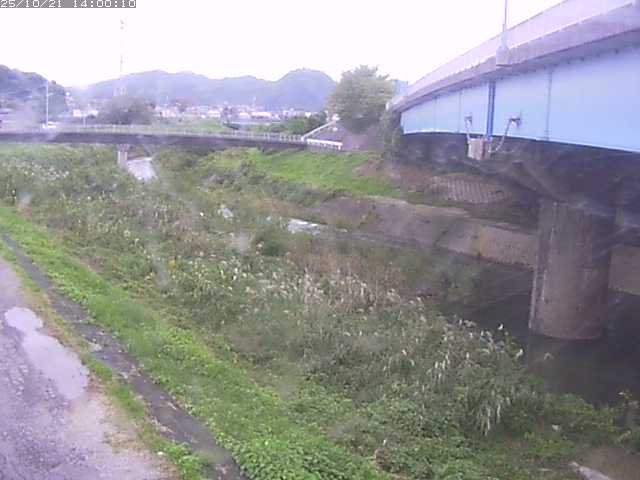 野坂川２2025/10/22 11:20:00
