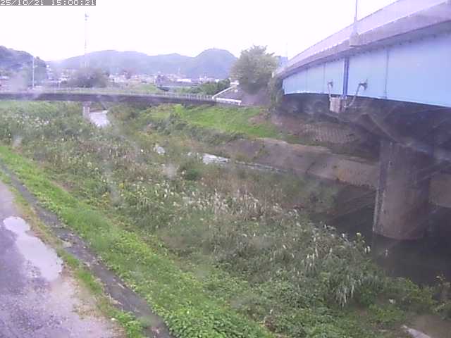 野坂川２2025/10/22 11:20:00