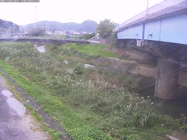 野坂川２2025/10/22 11:20:00