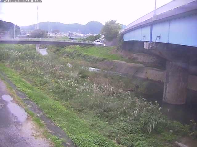 野坂川２2025/10/22 11:20:00