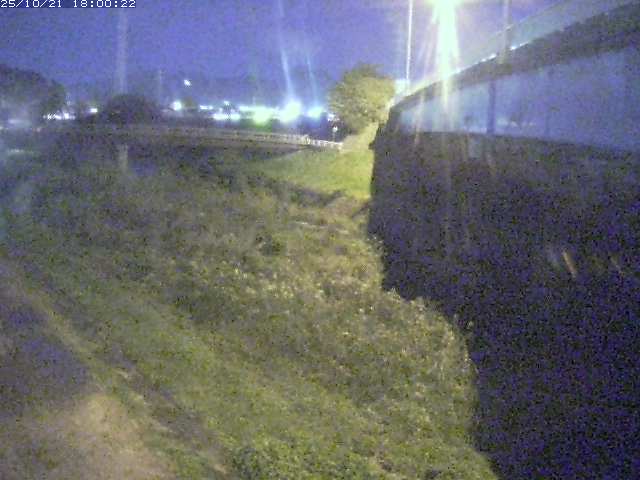 野坂川２2025/10/22 11:20:00