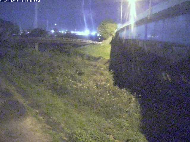 野坂川２2025/10/22 11:20:00