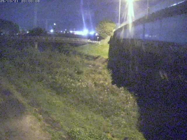 野坂川２2025/10/22 11:20:00