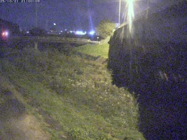 野坂川２2025/10/22 11:20:00