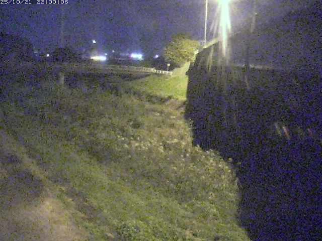 野坂川２2025/10/22 11:20:00