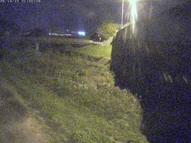 野坂川２2025/10/22 11:20:00