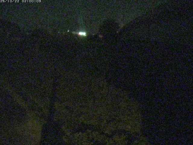野坂川２2025/10/22 11:20:00