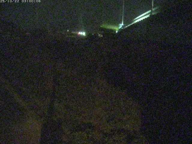 野坂川２2025/10/22 11:20:00