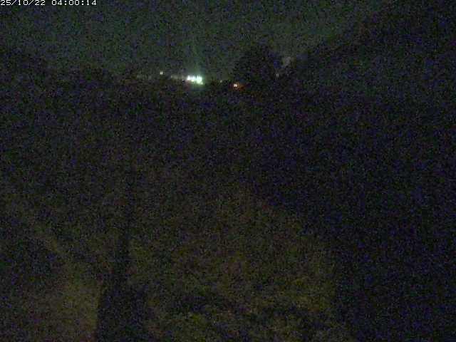 野坂川２2025/10/22 11:20:00