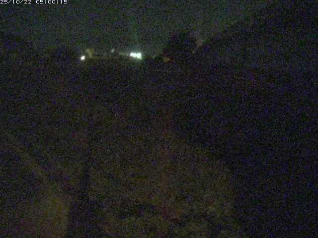 野坂川２2025/10/22 11:20:00