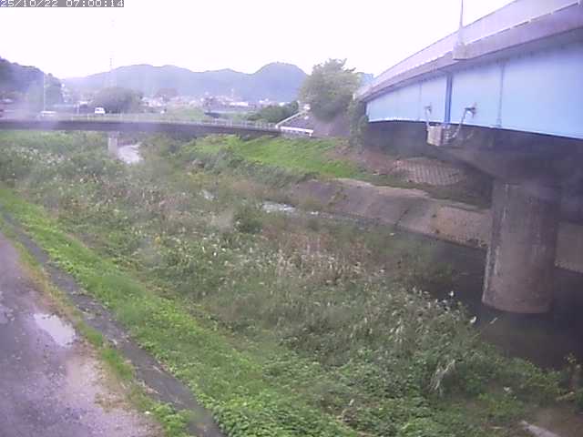 野坂川２2025/10/22 11:20:00