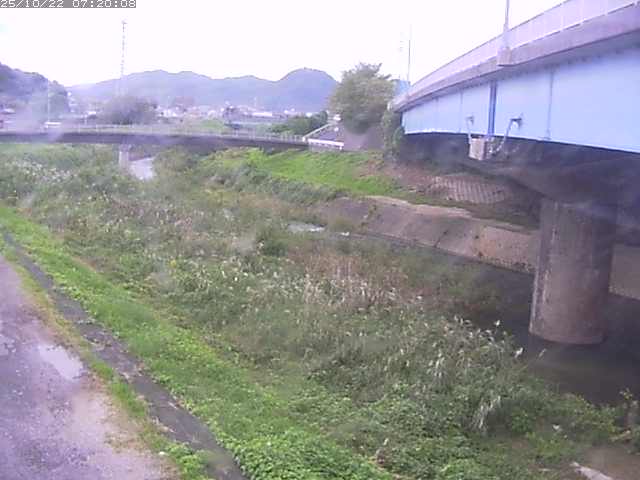 野坂川２2025/10/22 11:20:00