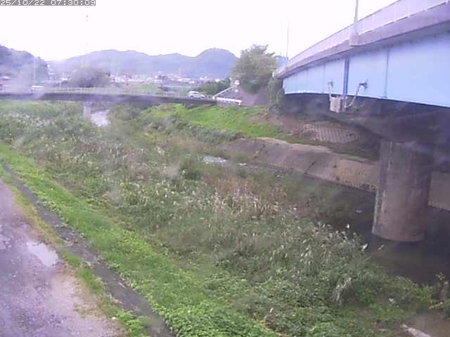 野坂川２2025/10/22 11:20:00