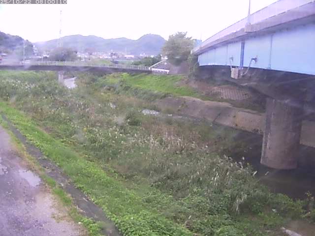 野坂川２2025/10/22 11:20:00