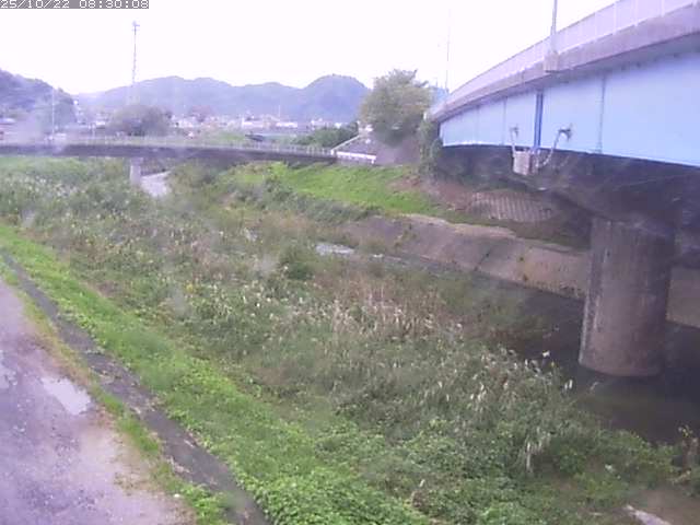 野坂川２2025/10/22 11:20:00
