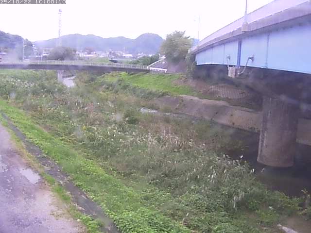 野坂川２2025/10/22 11:20:00
