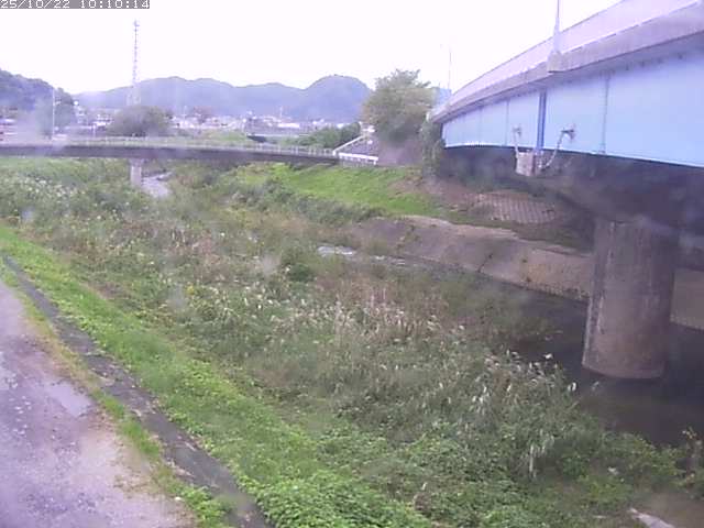 野坂川２2025/10/22 11:20:00