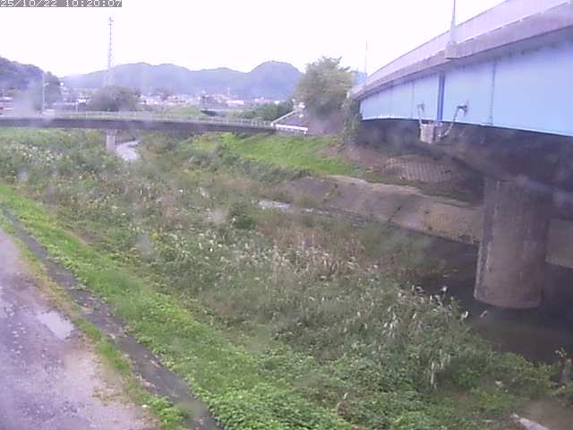野坂川２2025/10/22 11:20:00