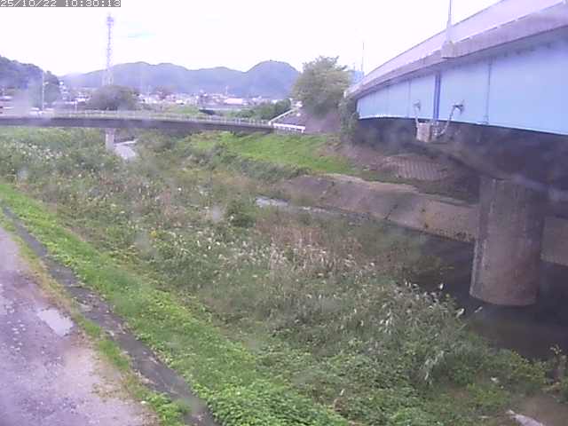 野坂川２2025/10/22 11:20:00