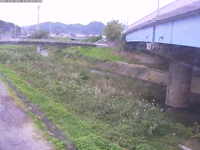 野坂川２2025/10/22 11:20:00