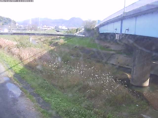 野坂川２2025/12/08 11:30:00