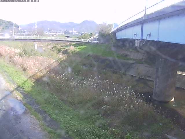 野坂川２2025/12/08 11:30:00