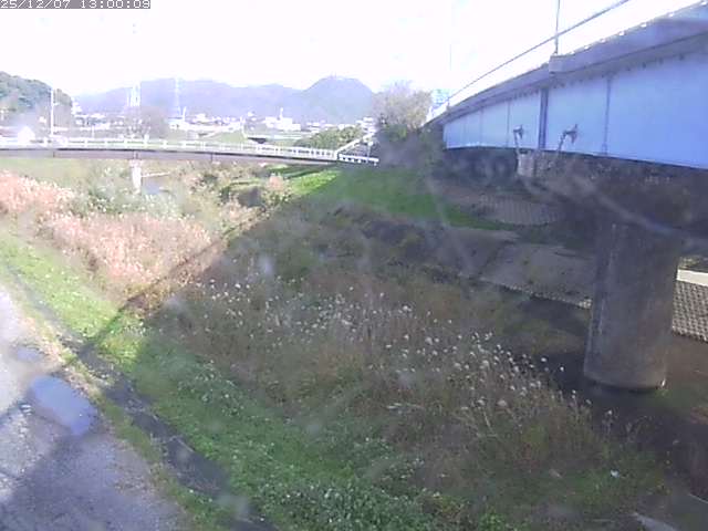 野坂川２2025/12/08 11:30:00