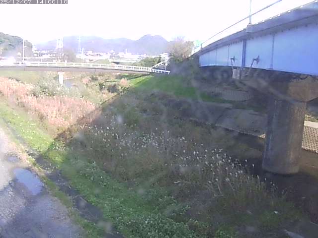 野坂川２2025/12/08 11:30:00