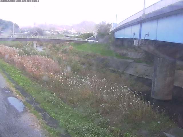 野坂川２2025/12/08 11:30:00