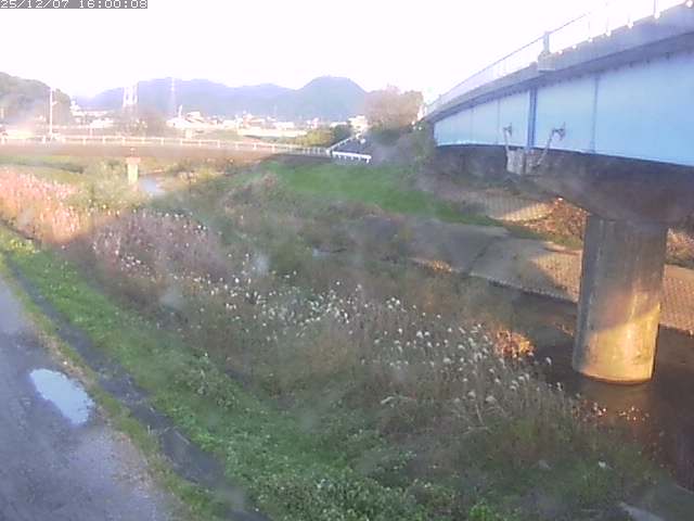 野坂川２2025/12/08 11:30:00