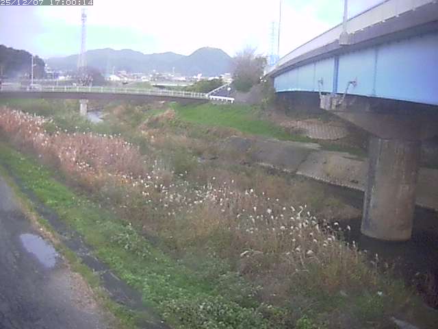野坂川２2025/12/08 11:30:00