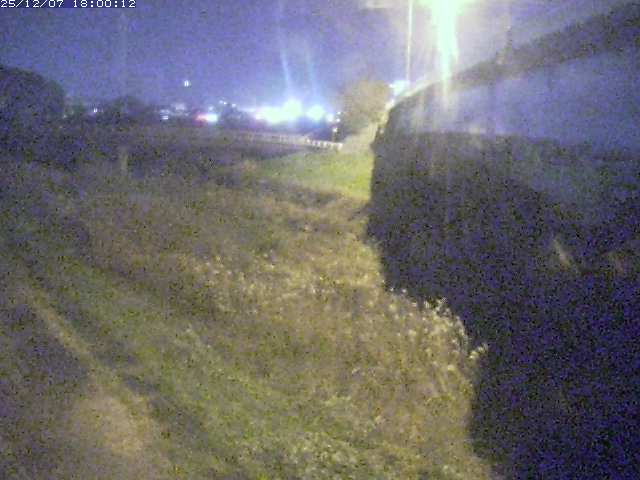 野坂川２2025/12/08 11:30:00