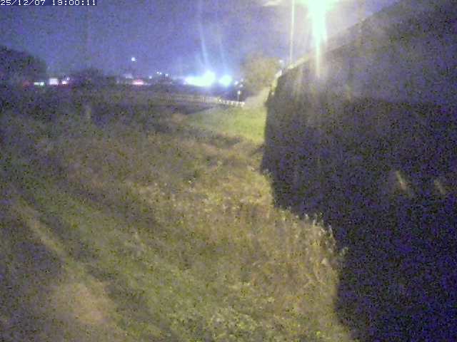 野坂川２2025/12/08 11:30:00