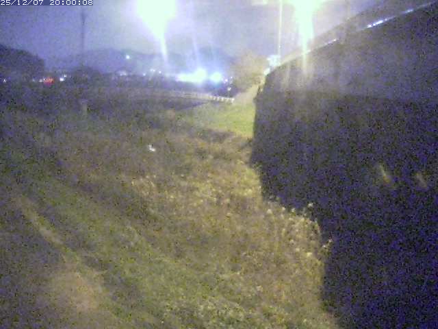 野坂川２2025/12/08 11:30:00