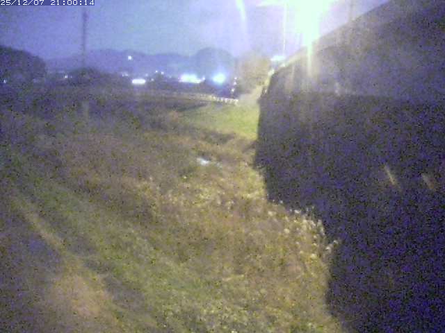 野坂川２2025/12/08 11:30:00