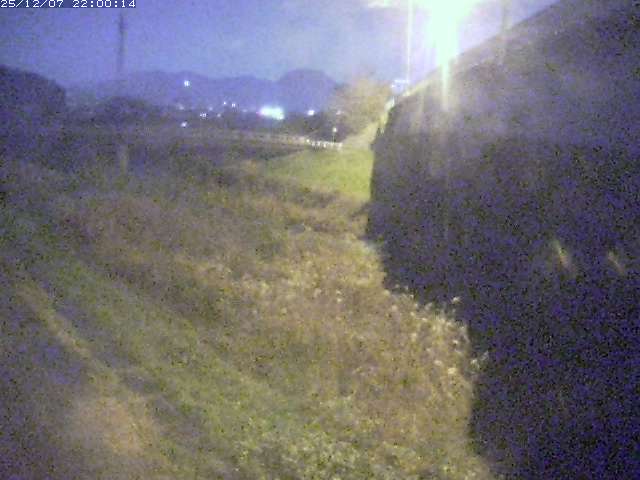 野坂川２2025/12/08 11:30:00