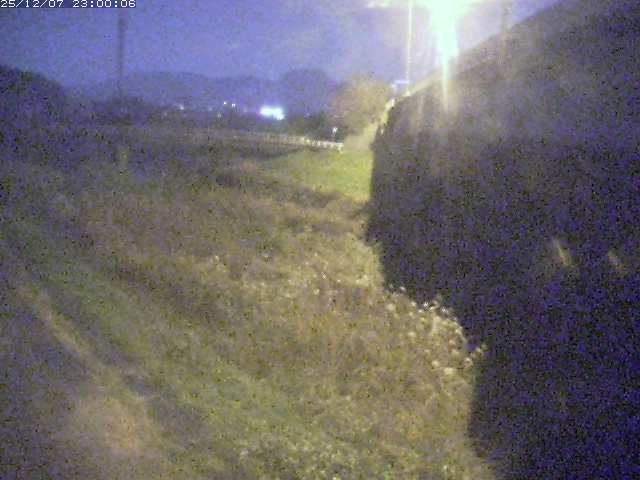 野坂川２2025/12/08 11:30:00