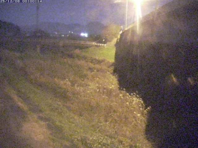 野坂川２2025/12/08 11:30:00