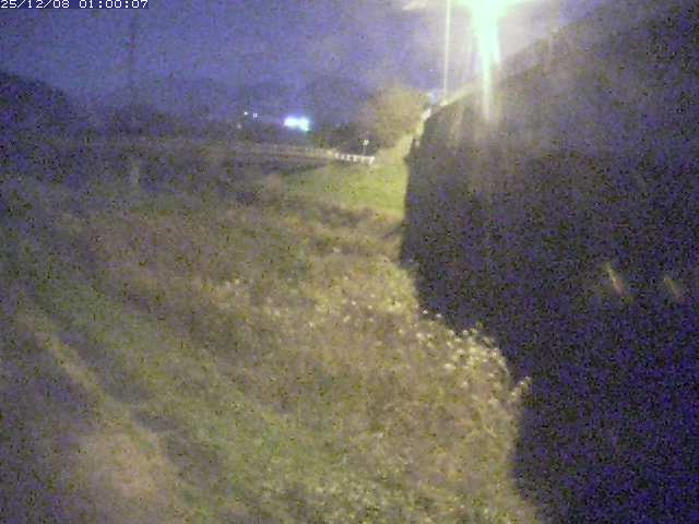 野坂川２2025/12/08 11:30:00