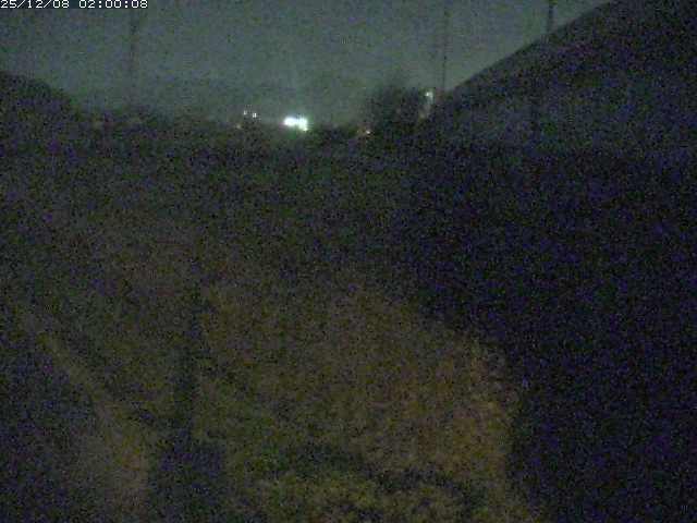 野坂川２2025/12/08 11:30:00