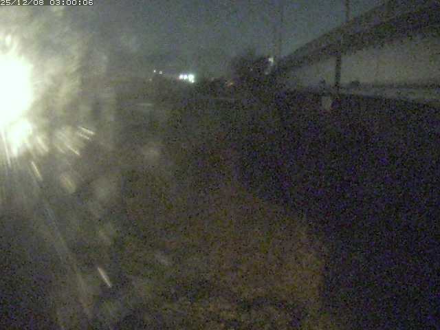 野坂川２2025/12/08 11:30:00